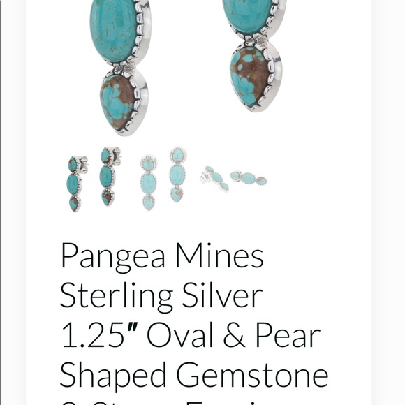 Pangea Mines 1.25” #8 Mine Turquoise Earrings - Picture 9 of 9